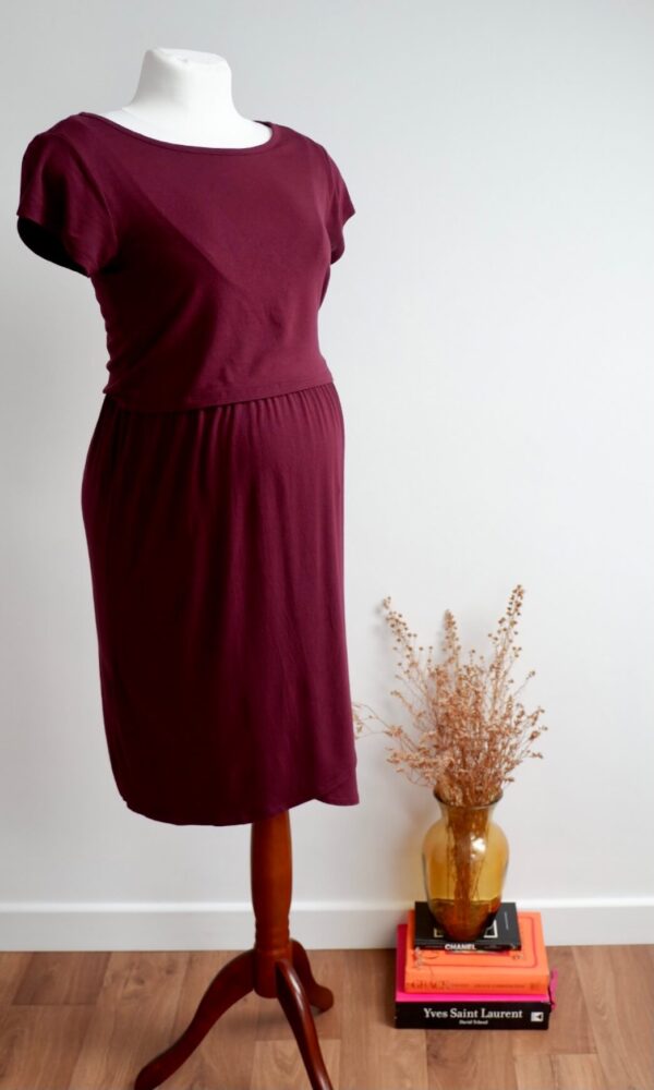 GAP Maternity and Breastfeeding Short Sleeve Dress