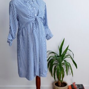 Seraphine Stripe Shirt Dress