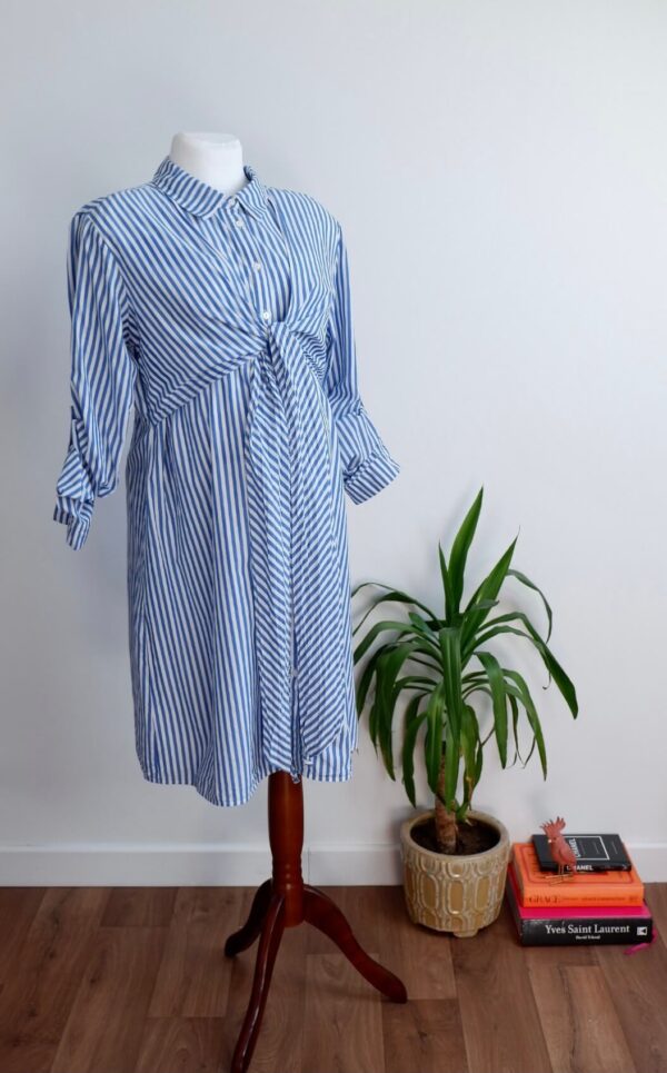 Seraphine Stripe Shirt Dress