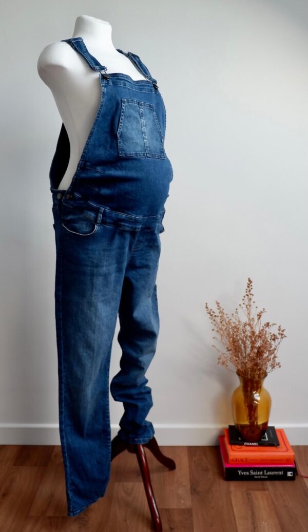 Seraphine Maternity Denim Dungarees